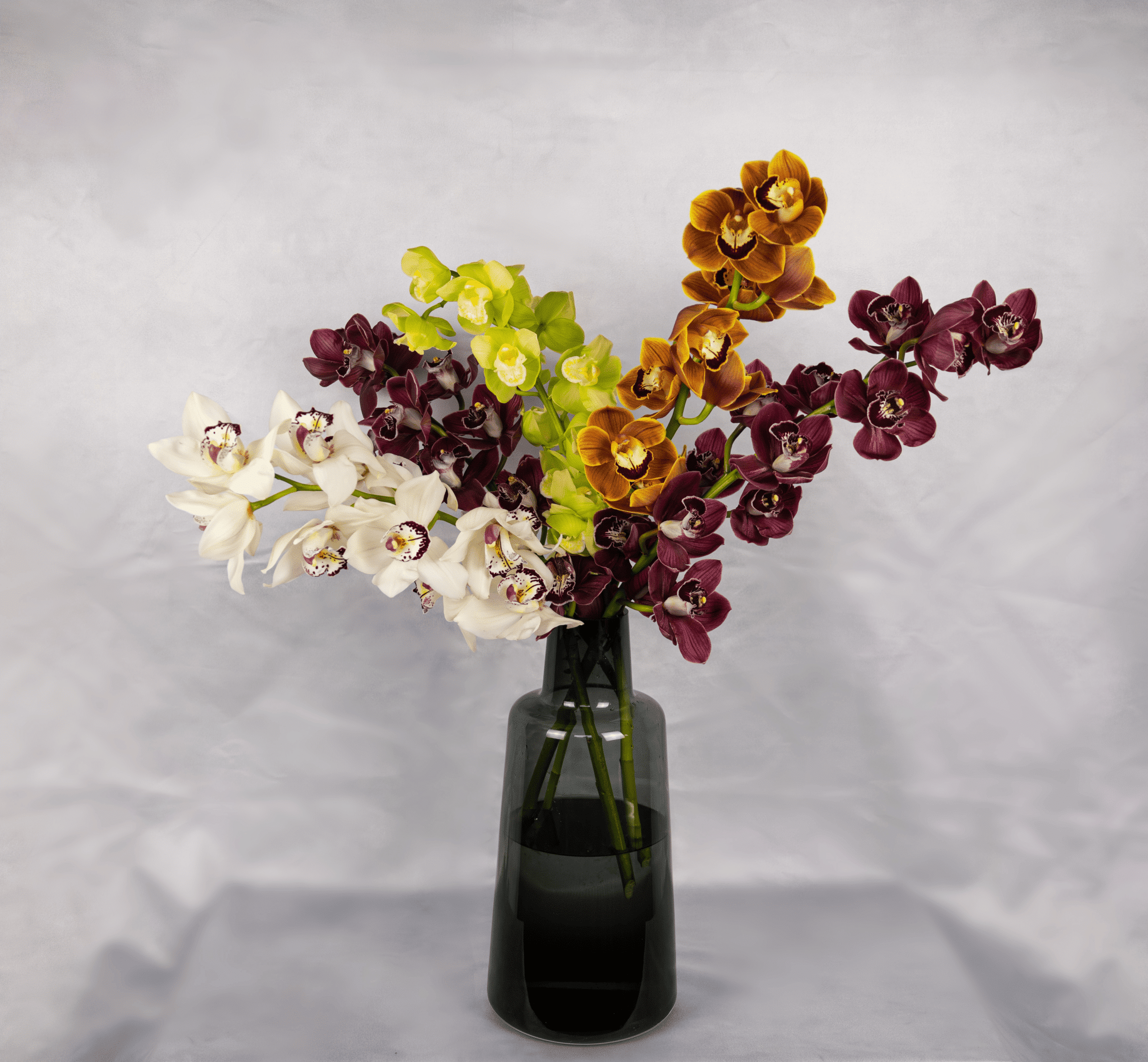 Orchid obsession free delivery
